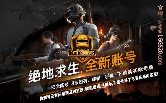 绝地求生/数据黑/排位号【开G必备】